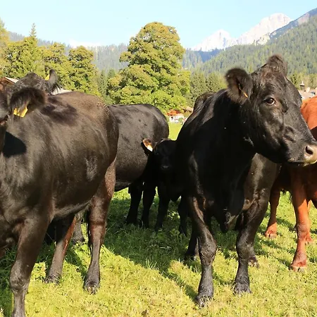 Naturhotel Laerchenhof Hotel 4*