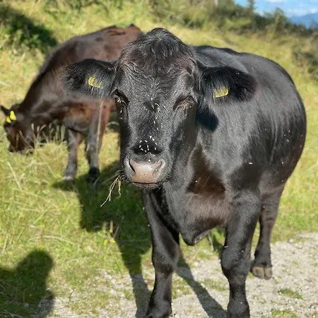 Naturhotel Laerchenhof 4*