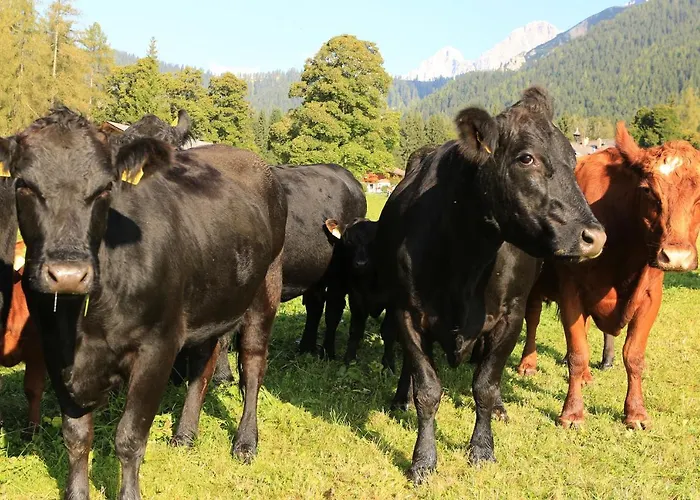 Naturhotel Laerchenhof فندق 4*