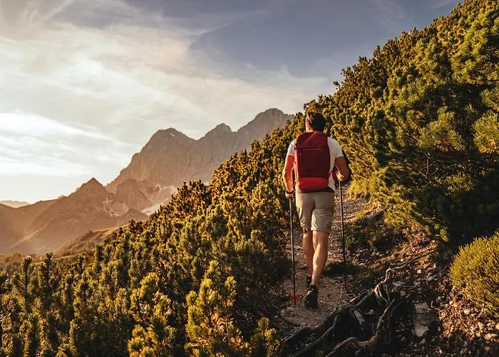 Naturhotel Laerchenhof 4* رامساو أم داتشستين