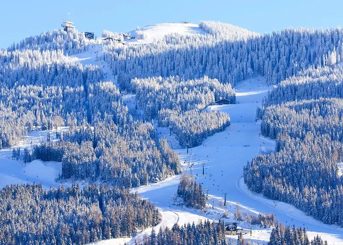 Naturhotel Laerchenhof 4*