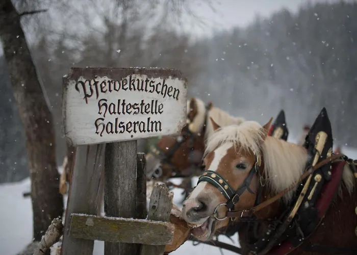 Naturhotel Laerchenhof 호텔 4*