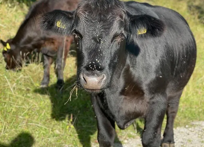 Naturhotel Laerchenhof 4*